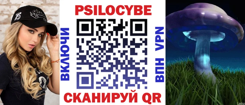 как найти Коммунар Псилоцибиновые грибы MAGIC MUSHROOMS