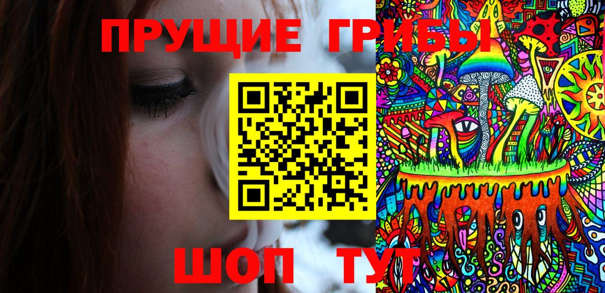 Коммунар  Галлюциногенные грибы мицелий  Вход с VPN  Псилоцибиновые грибы GOLDEN TEACHER 