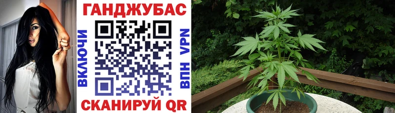 Конопля гибрид  наркошоп  Коммунар 
